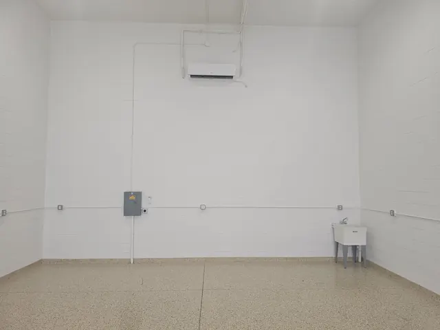 Back wall of garage condo with mini-split air conditioner, electrical panel and utility sink